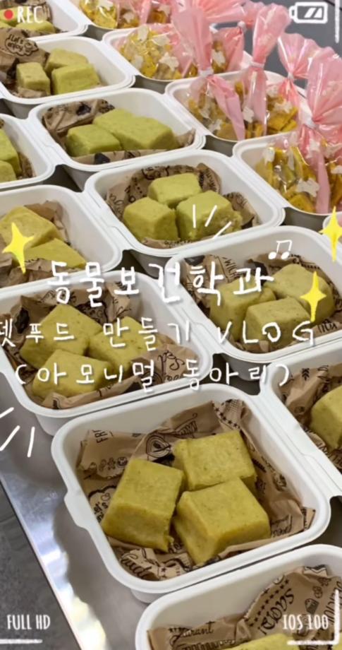 펫푸드 만들기 실습 진행 (크래커, 머핀)