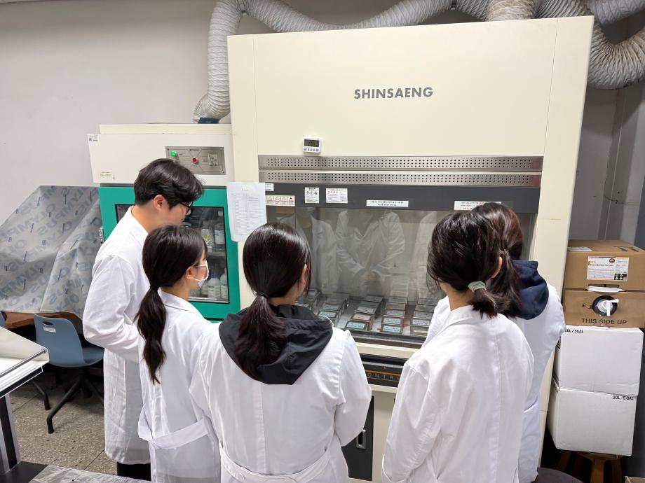 염색 이론 설명 및 Stock 제작법 설명