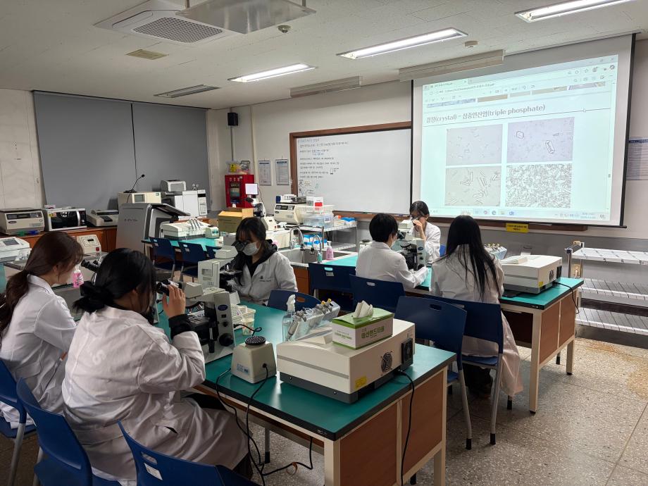 요의 현미경적 검사