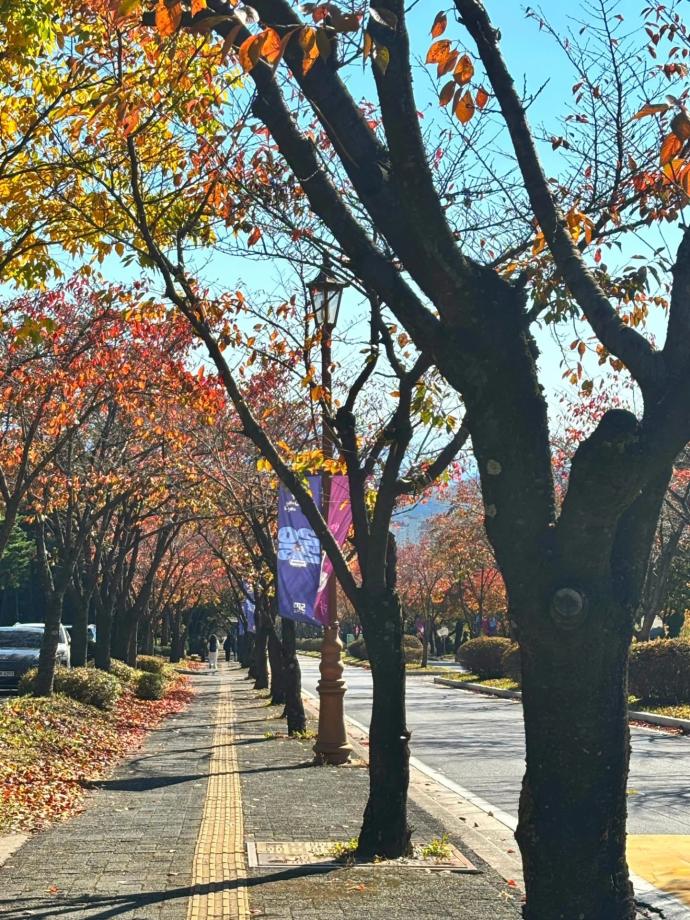 가을 맞이 일상 사진