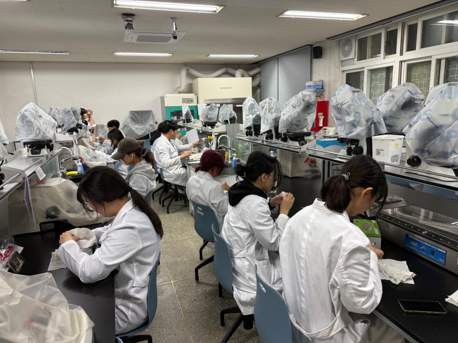 포매기 및 몰드 청소