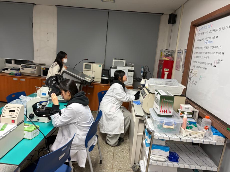 요 비중에 따른 적혈구 형태