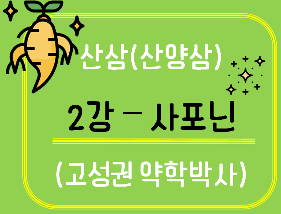 [생약알아보기] 산삼(산양삼)_2강 사포닌 